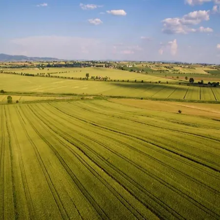 Country Charm Near Cortone