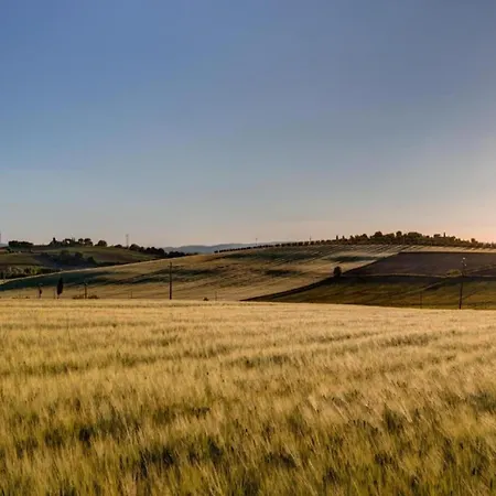 Country Charm Near Cortone