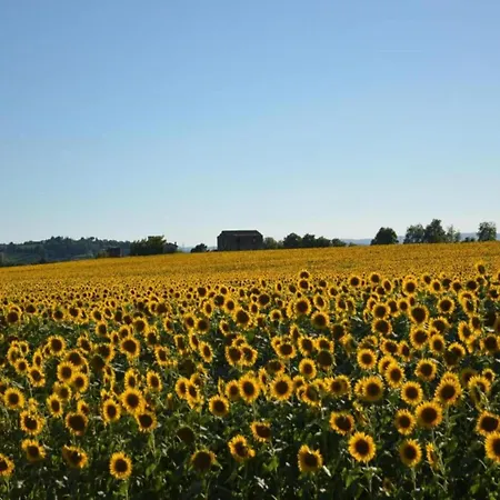 Country Charm Near * Cortone