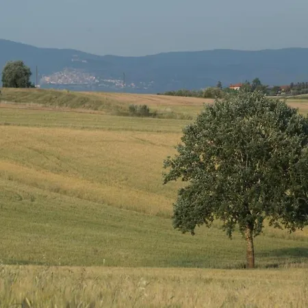 Nyaraló Country Charm Near