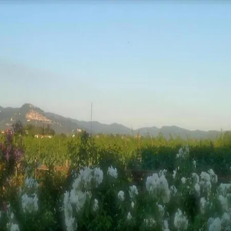 Country Charm Near Hébergement de vacances *