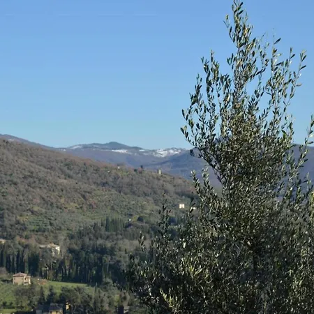 Vakantiehuis Country Charm Near Cortona