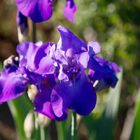 Country Charm Near * Cortona
