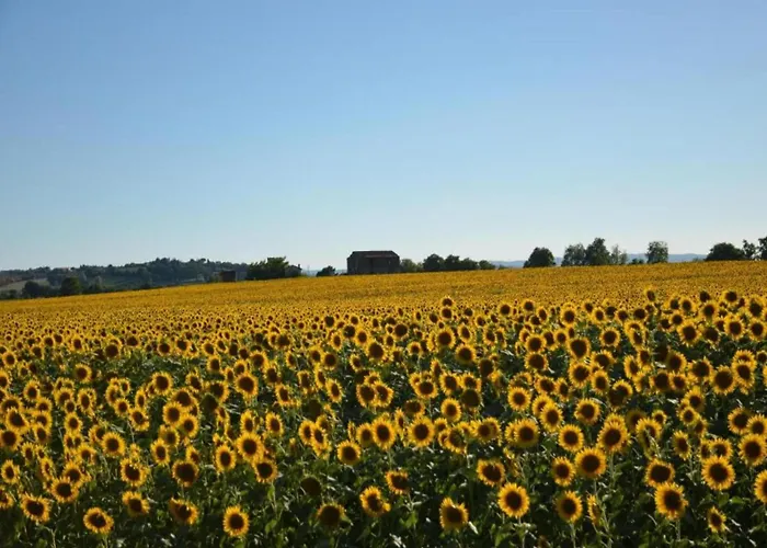 Country Charm Near * Cortone