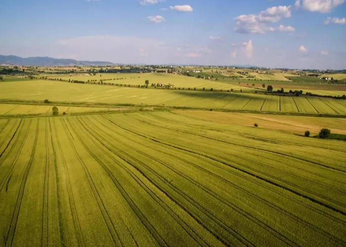 Country Charm Near Cortona