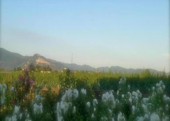 Country Charm Near Holiday home *