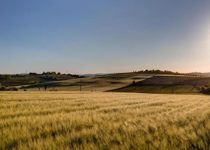 Country Charm Near Cortone