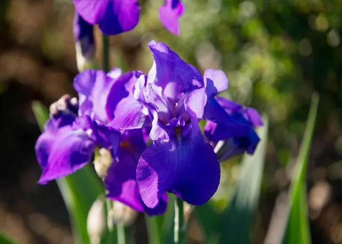 Country Charm Near * Cortona