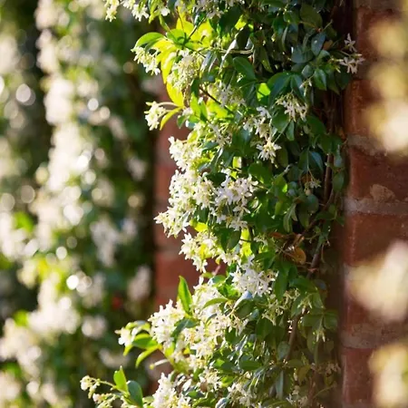 Country Charm Near Сasa de vacaciones Cortona