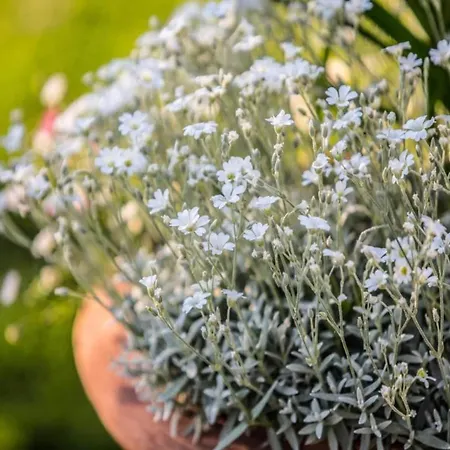 Country Charm Near Сasa de vacaciones