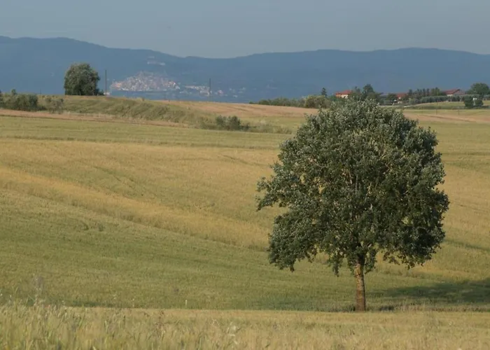 Vakantiehuis Country Charm Near