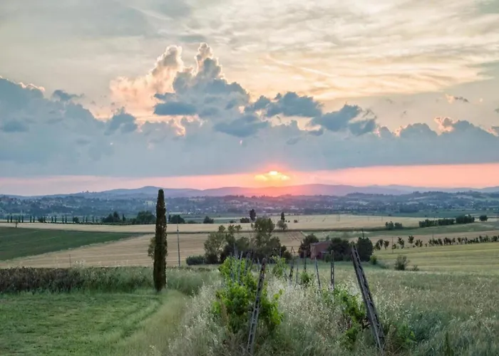 Country Charm Near *